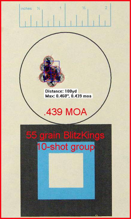 55_grain_blitzkings_10_shot_group_at_100-2021681.jpg