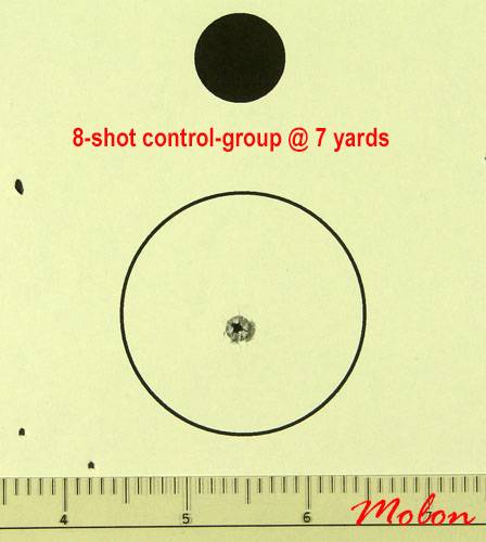 8_shot_control_group_at_7_yards_1b_resiz-1297684.jpg
