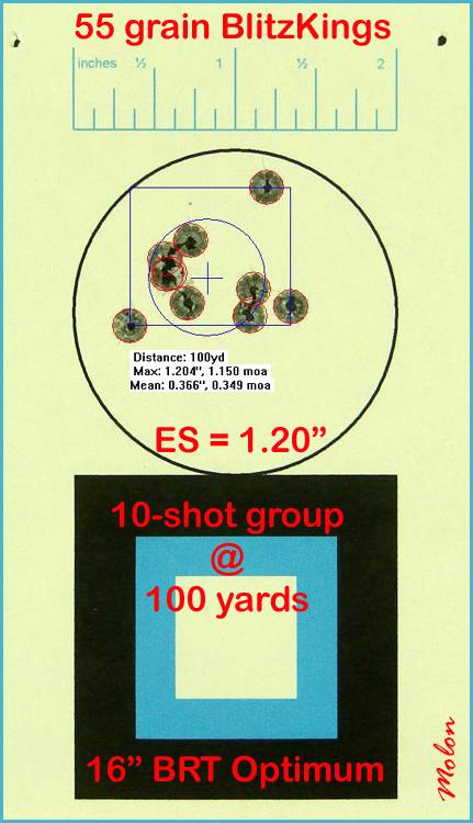 brt_optimum_10_shot_group_at_100_yards_0-2655703.jpg
