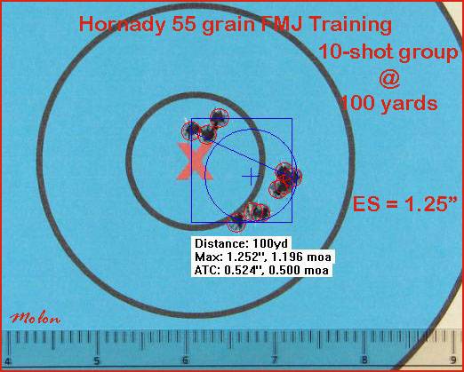 hornady_55_grain_FMJ_training_10_shot_gr-2890064.jpg